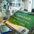 Incubator for Giant Panda