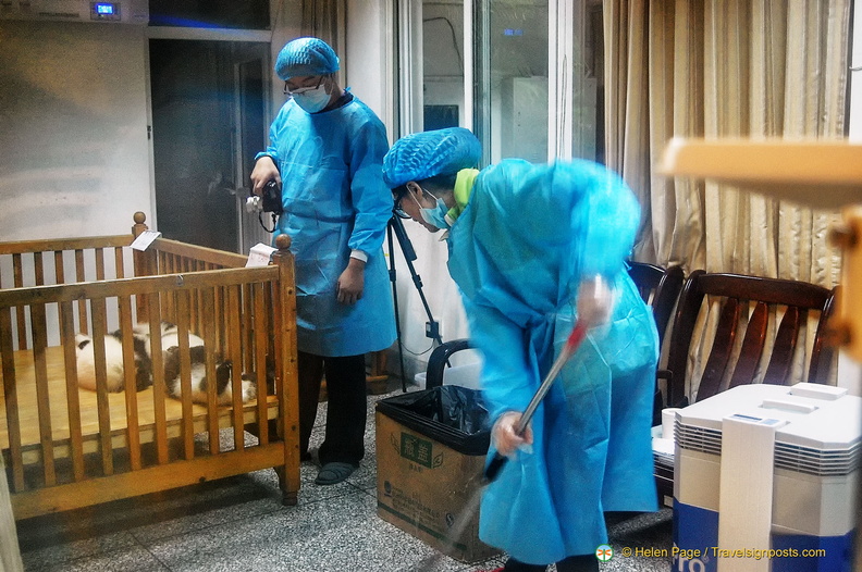 Chengdu Giant Panda Breeding Center