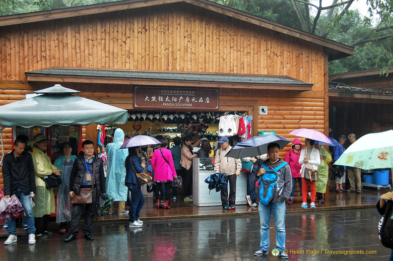 chengdu-panda-breeding-DSC6523.jpg