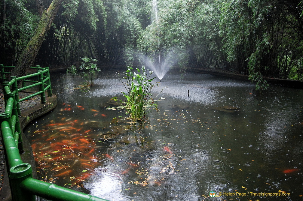 Beautiful Pond at the Chengdu Giant Panda Center