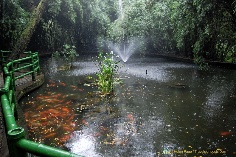 Beautiful Pond at the Chengdu Giant Panda Center