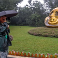 Tony Videoing at the Chengdu Panda Center