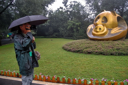 Tony Videoing at the Chengdu Panda Center