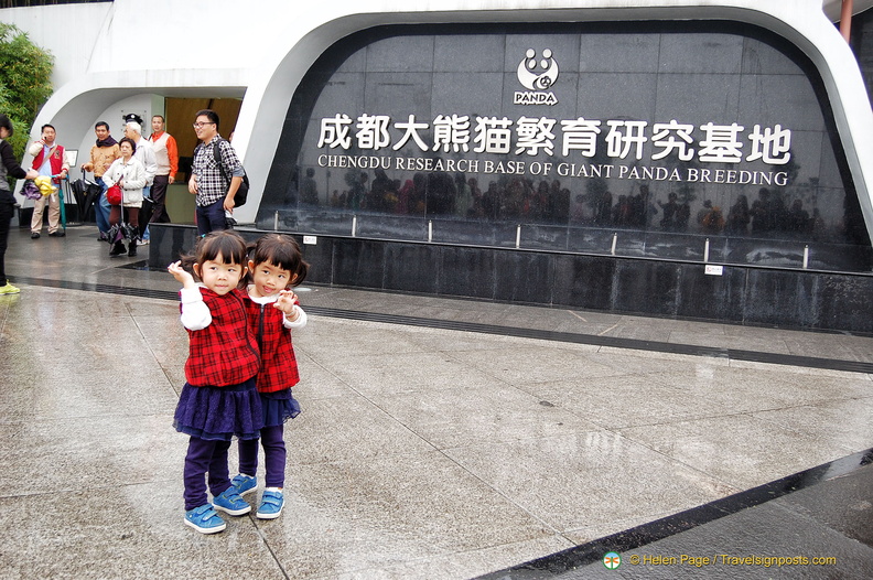 chengdu-panda-breeding-DSC6544.jpg