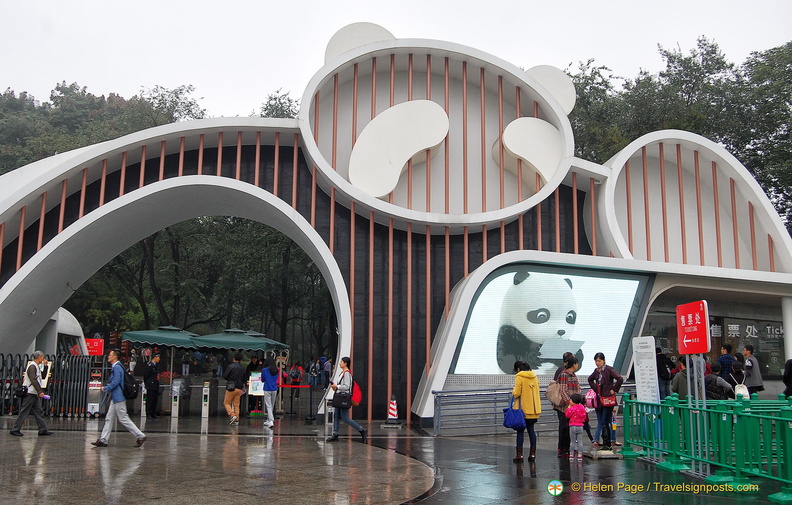 chengdu-panda-breeding-DSC6548.jpg