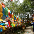 Prayer Flags Surround Dafo Temple