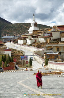 View of the Bodhi Pagoda