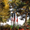 Puning Si Prayer Flags and Stupa