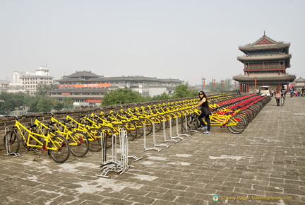 Xi'an City Wall Bicycle Rentals