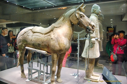 Cavalryman With His Saddled War Horse