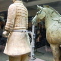 Rear View of a Cavalryman and his Horse
