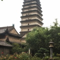 xian-small-wild-goose-pagoda-AJP4818