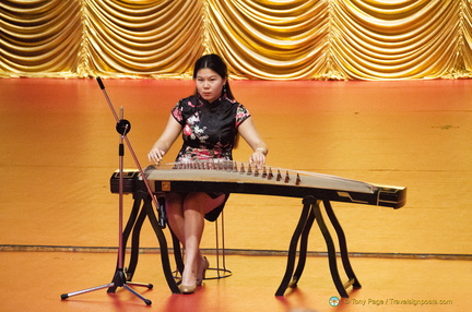 Solo Chinese Zither Performance