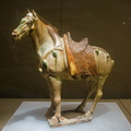 Tang Dynasty Tri-colour Horse 
