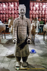 Shaanxi Museum - Terracotta Warrior