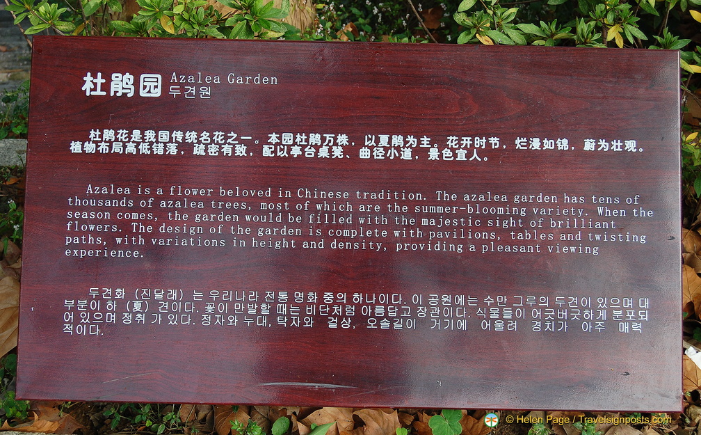 About the Azalea Garden