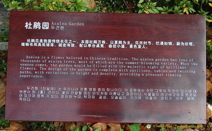 About the Azalea Garden