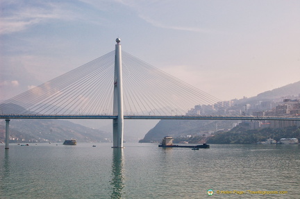 Section of the Badong Yangtze River Bridge