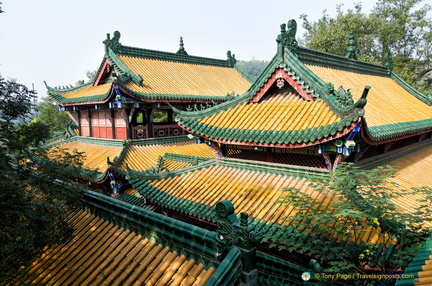 Eye-catching Green and Gold Roofs