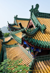 Temple Roof Features