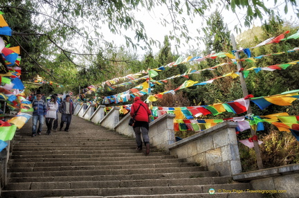 Steep Steps up to Guishan Dafo Temple