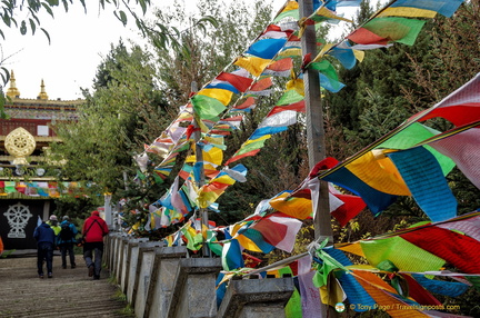 Colourful Prayer Flags Along the Dafo Temple Steps
