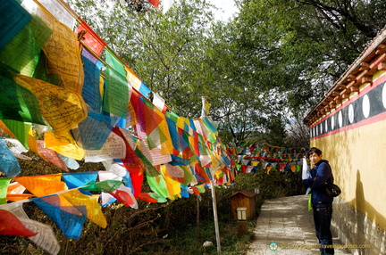 Prayer Flags Surround Dafo Temple