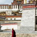 Ganden Sumtseling Monastery Monk